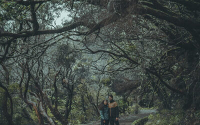 Levada das 25 Fontes y Risco. Ruta de senderismo en Madeira