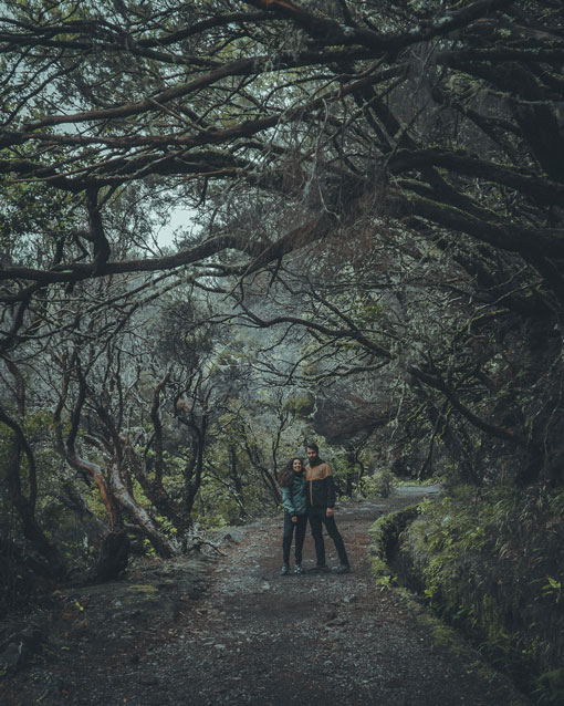 Levada das 25 Fontes and Risco. Hiking route in Madeira