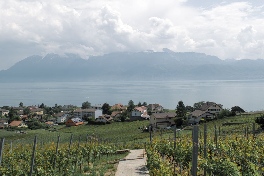 Terrasses de lavaux senderismo